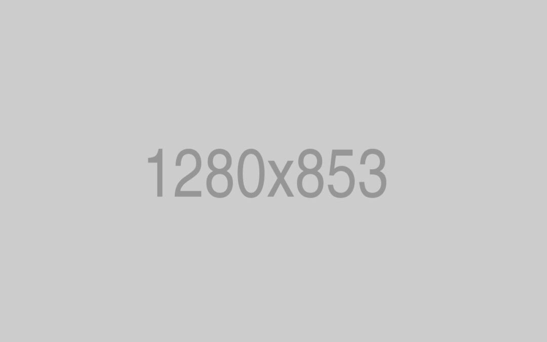 BMW Engine Repairing 4